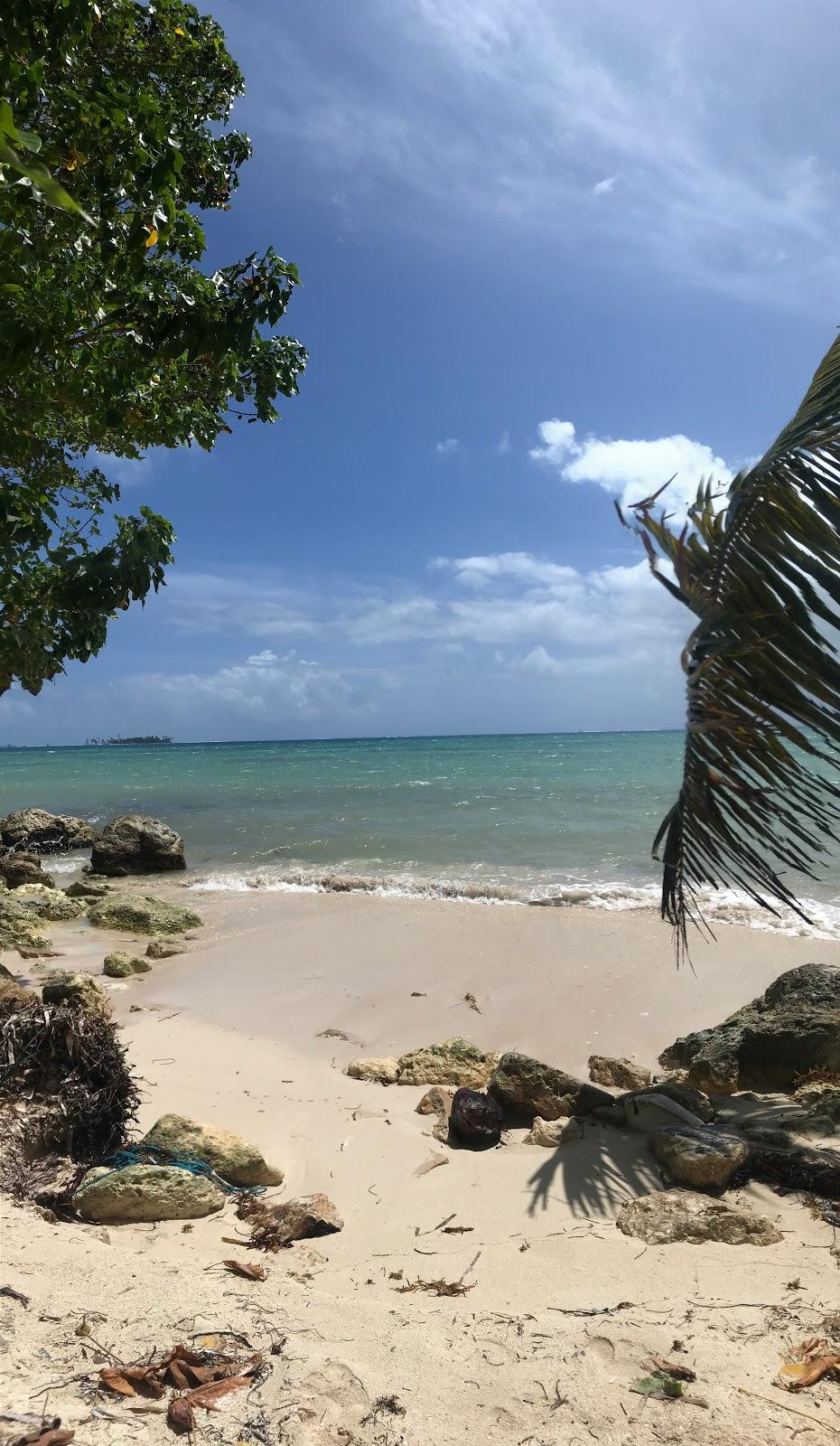 Sandee Juan Carlos Beach