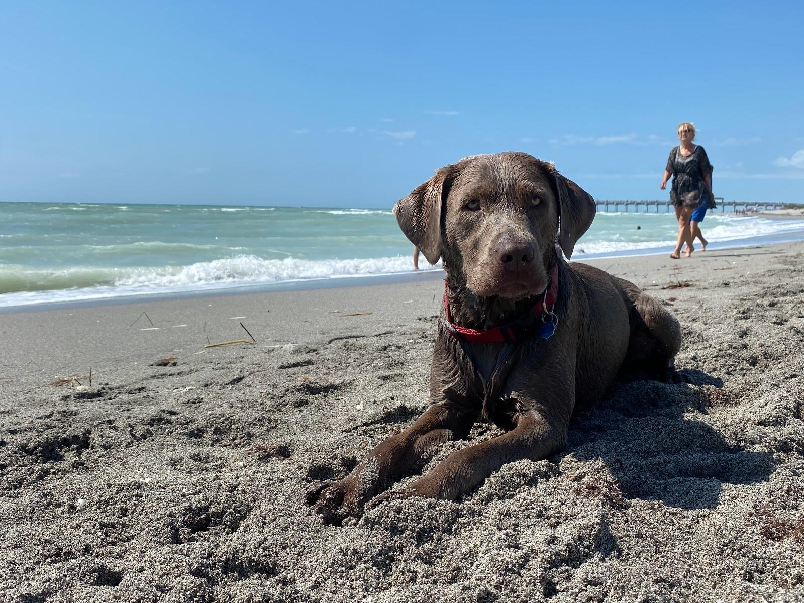 Sandee - South Brohard Park Beach