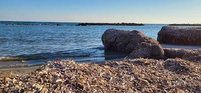 Sandee - Spiaggia Di Contrada Foggia