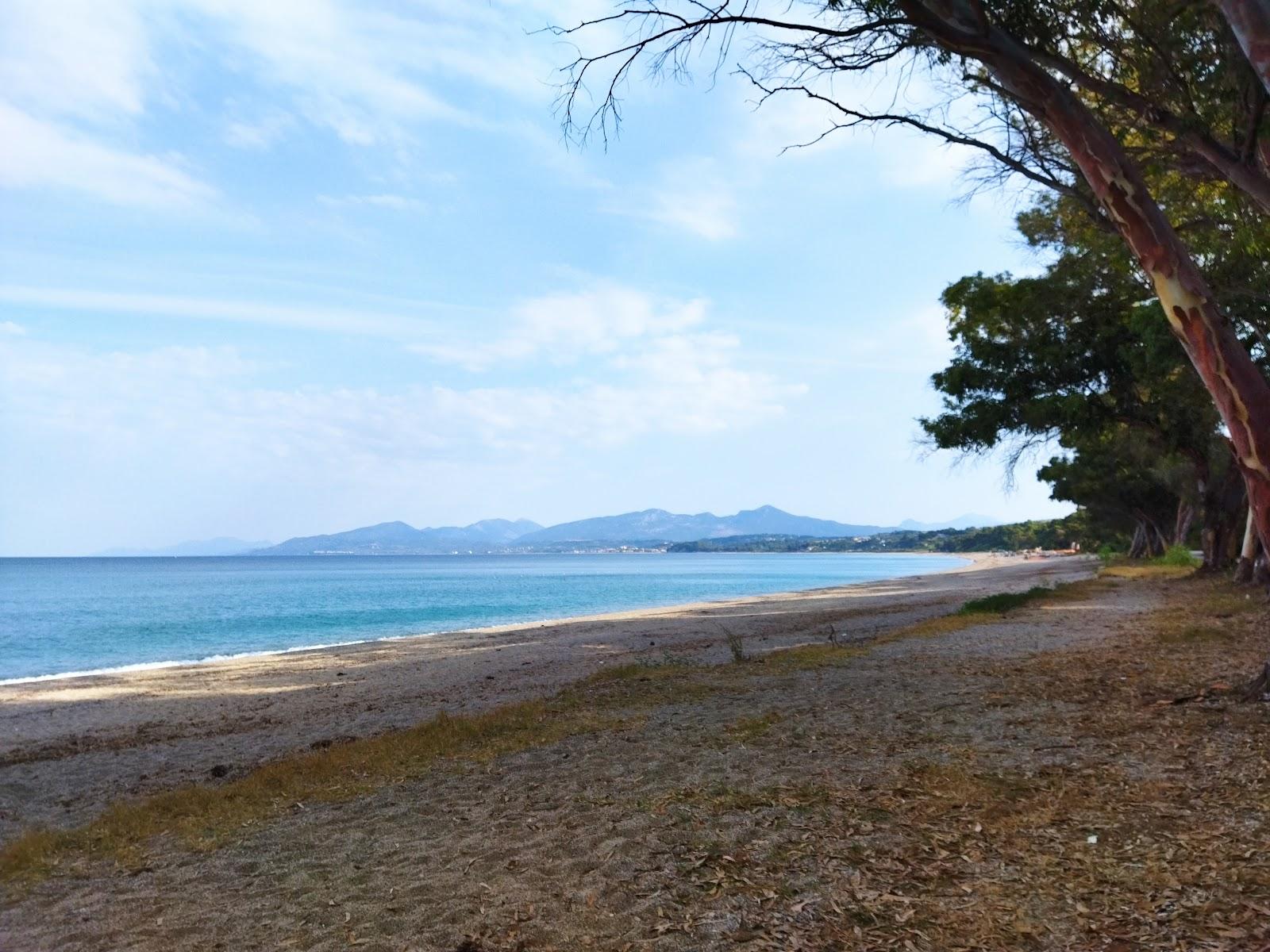 Sandee Aesthetic Forest Mytikas Preveza