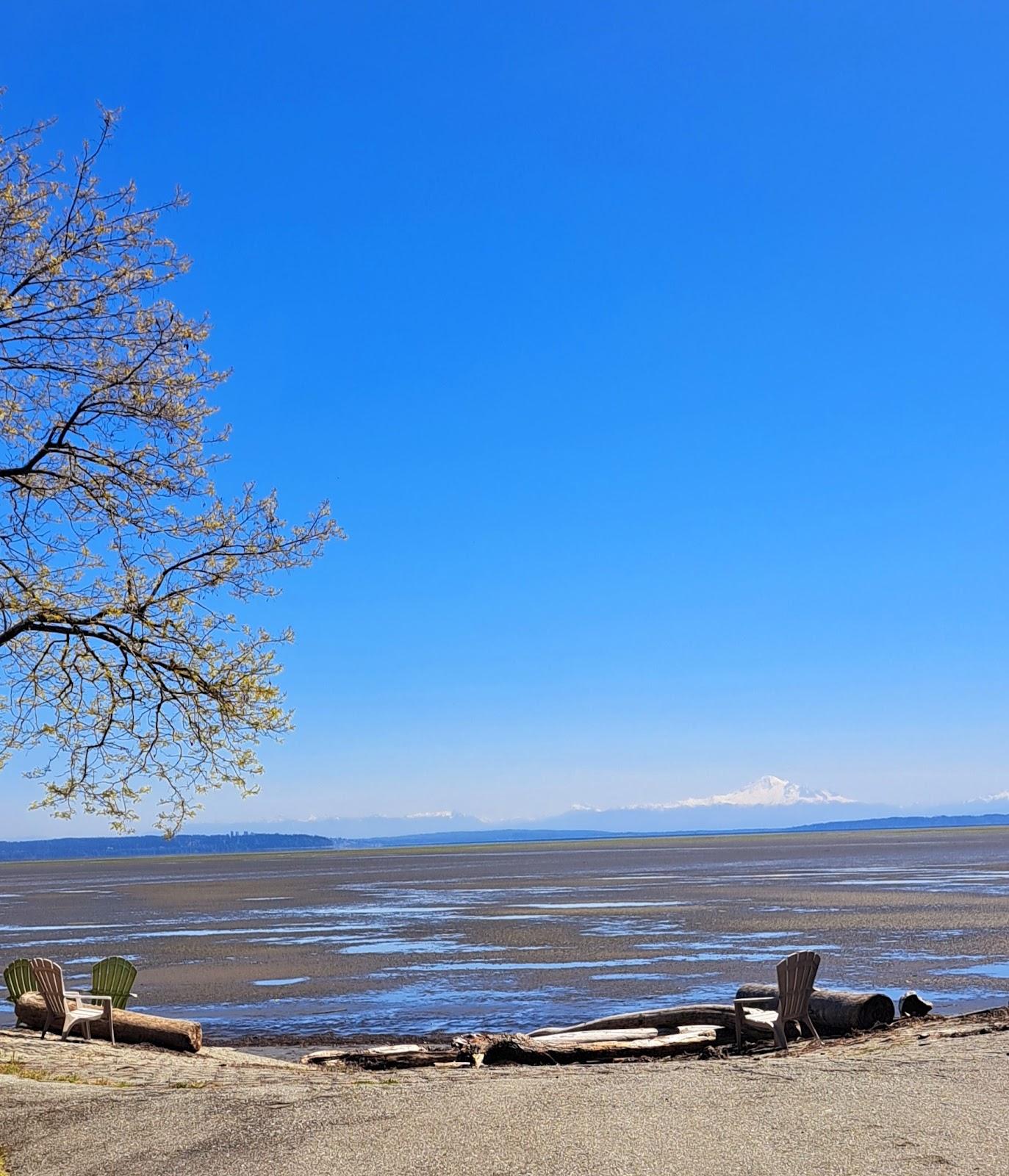 Sandee Delta Beach