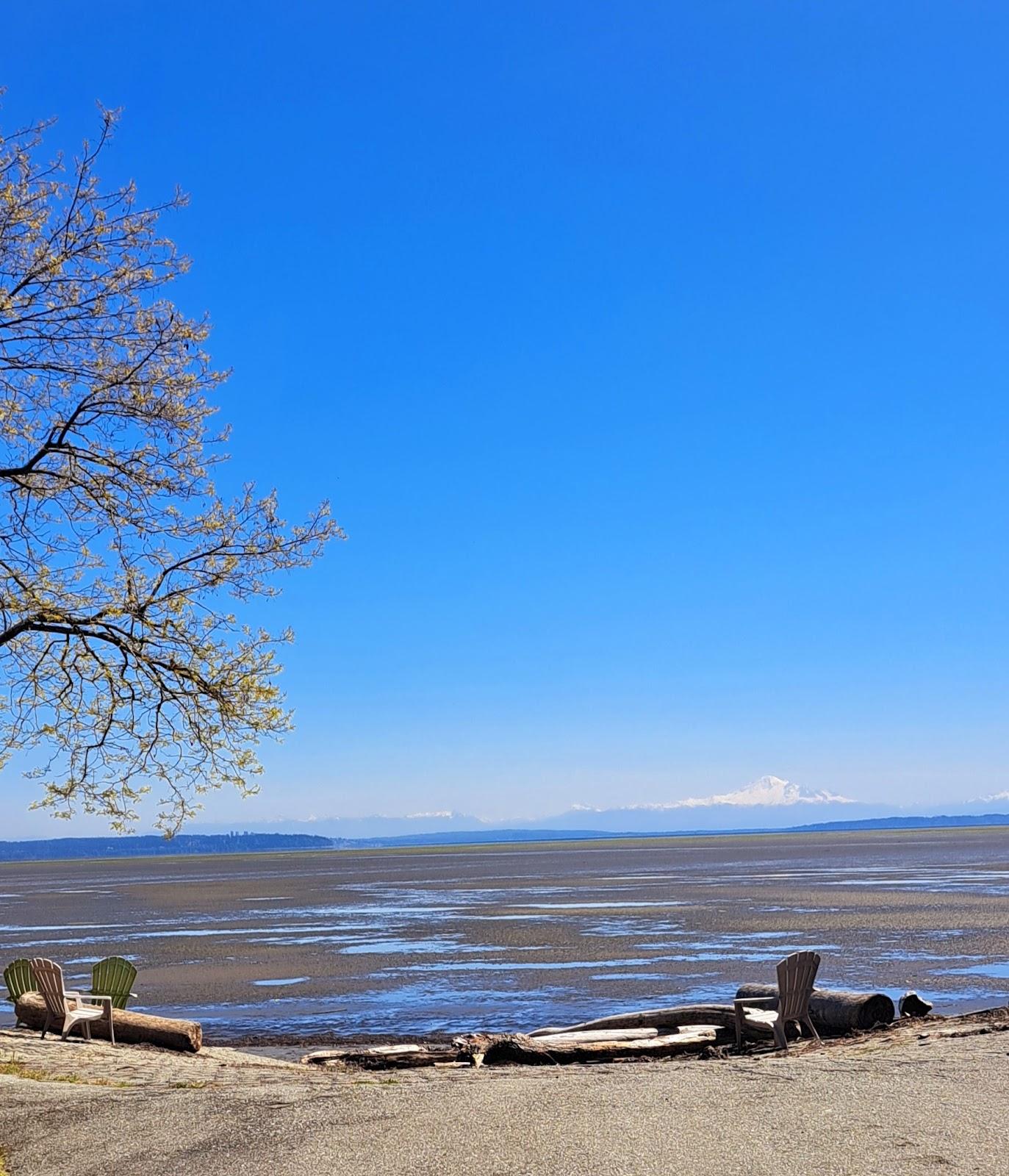 Sandee Delta Beach Photo