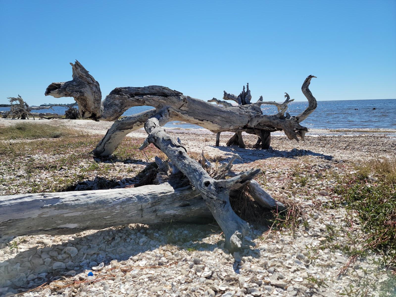 Sandee - Shired Island Beach