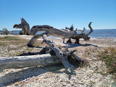 Sandee - Shired Island Beach