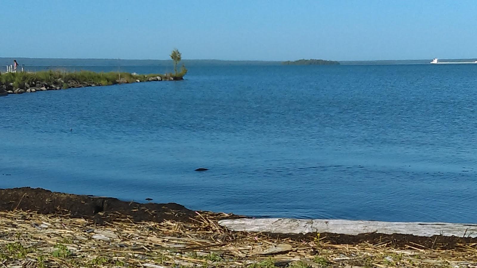 Sandee Public Shoreline Beach Raber Bay Stretch Photo