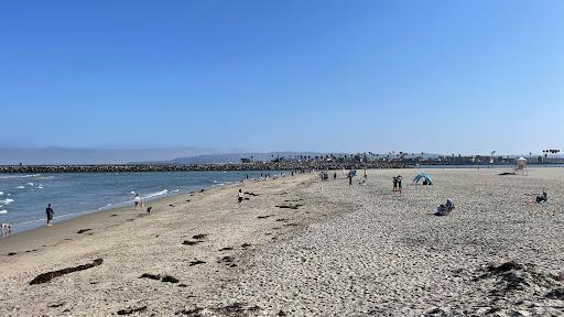 Sandee Dog Beach Photo