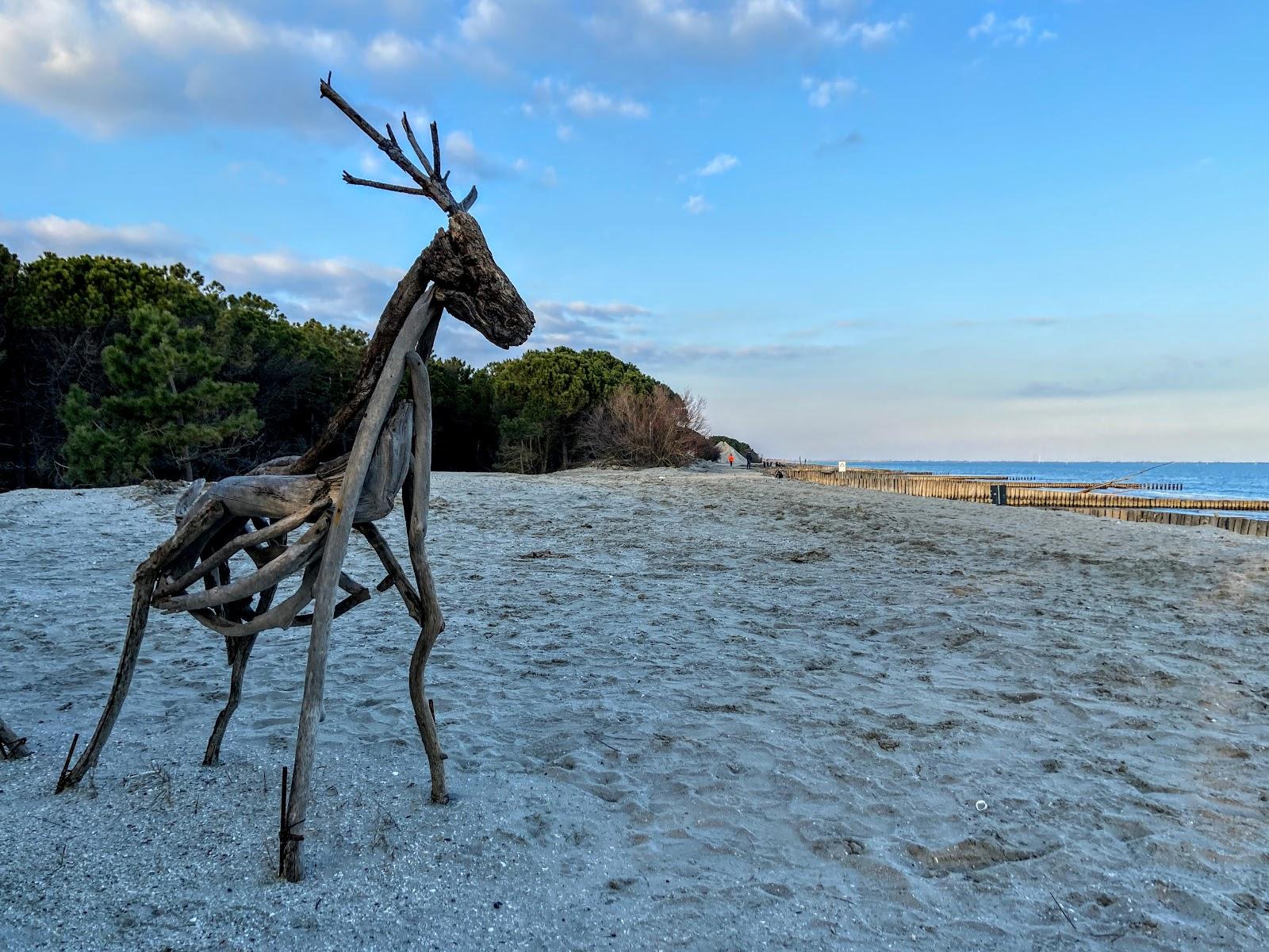 Sandee Spiaggia Privata Di Spiaggia Romea