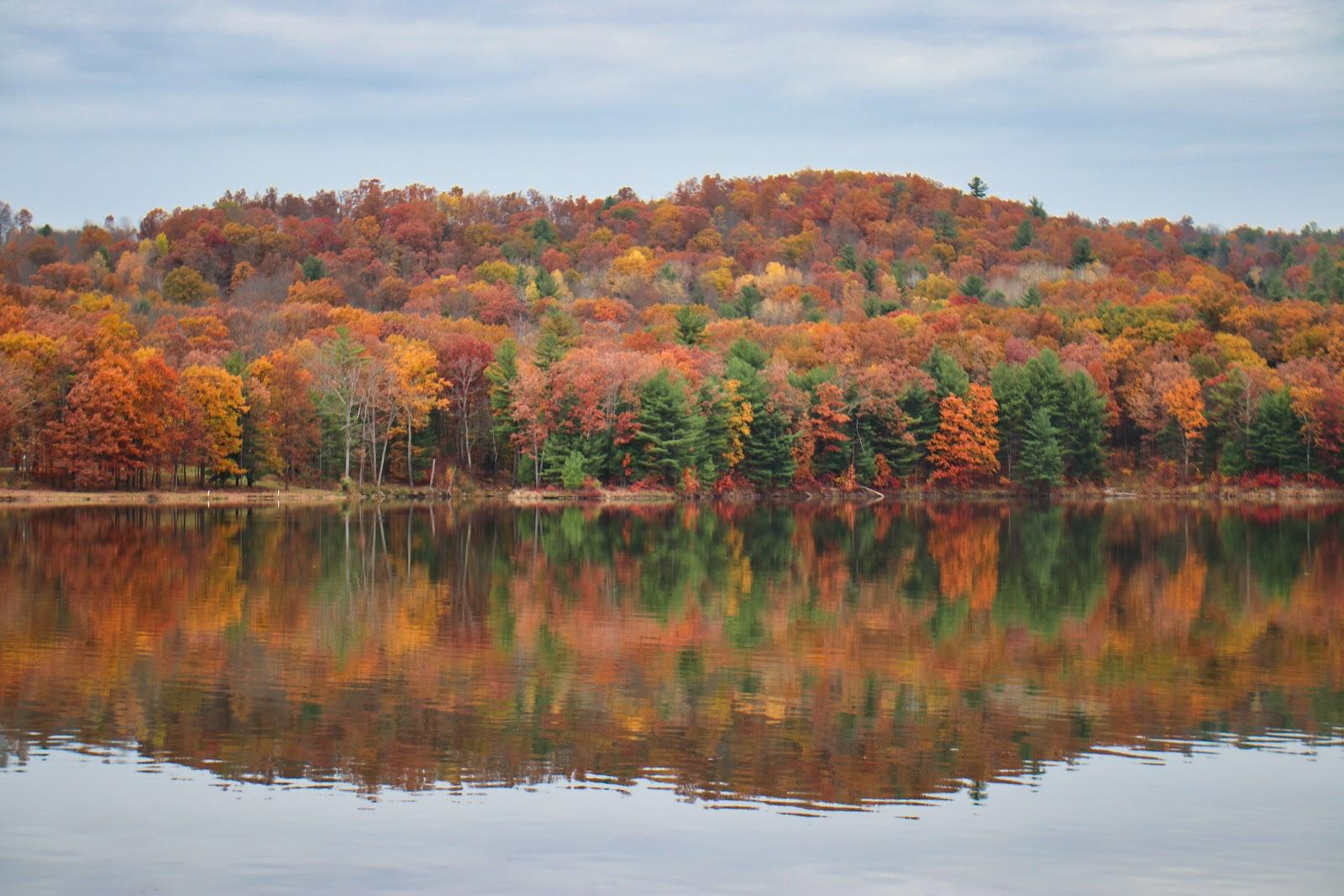 Sandee Lawrence Recreation Area Photo