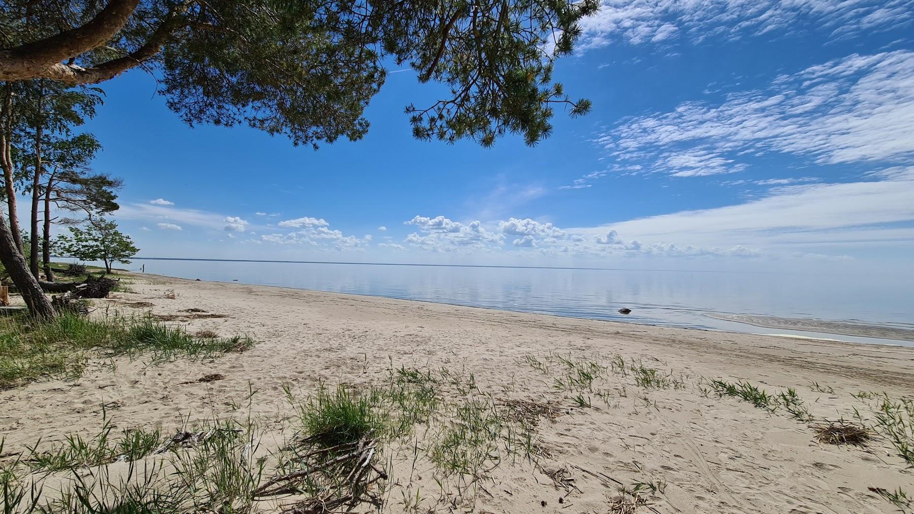 Sandee Valgeranna Beach Photo