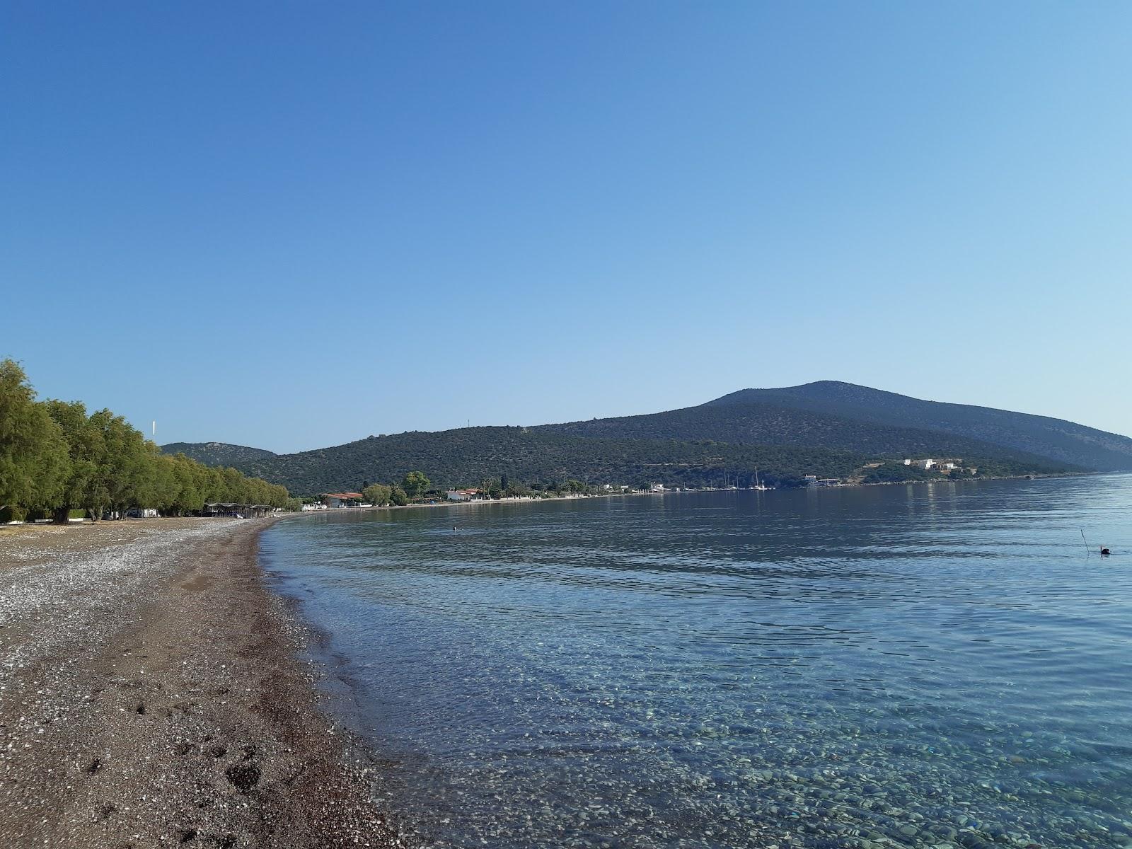 Sandee New Epidaurus Beach