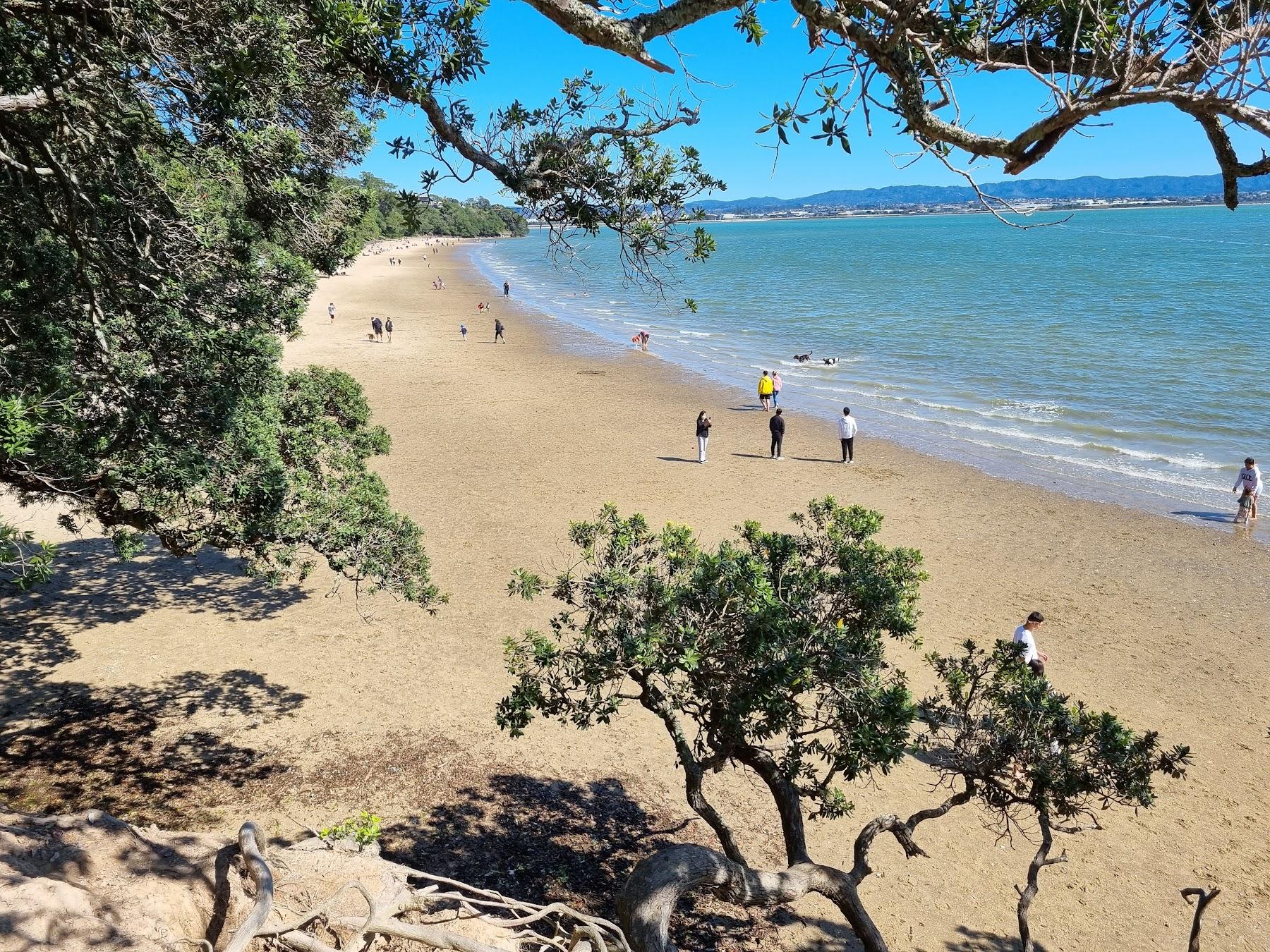 Sandee Point Chevalier Beach Photo