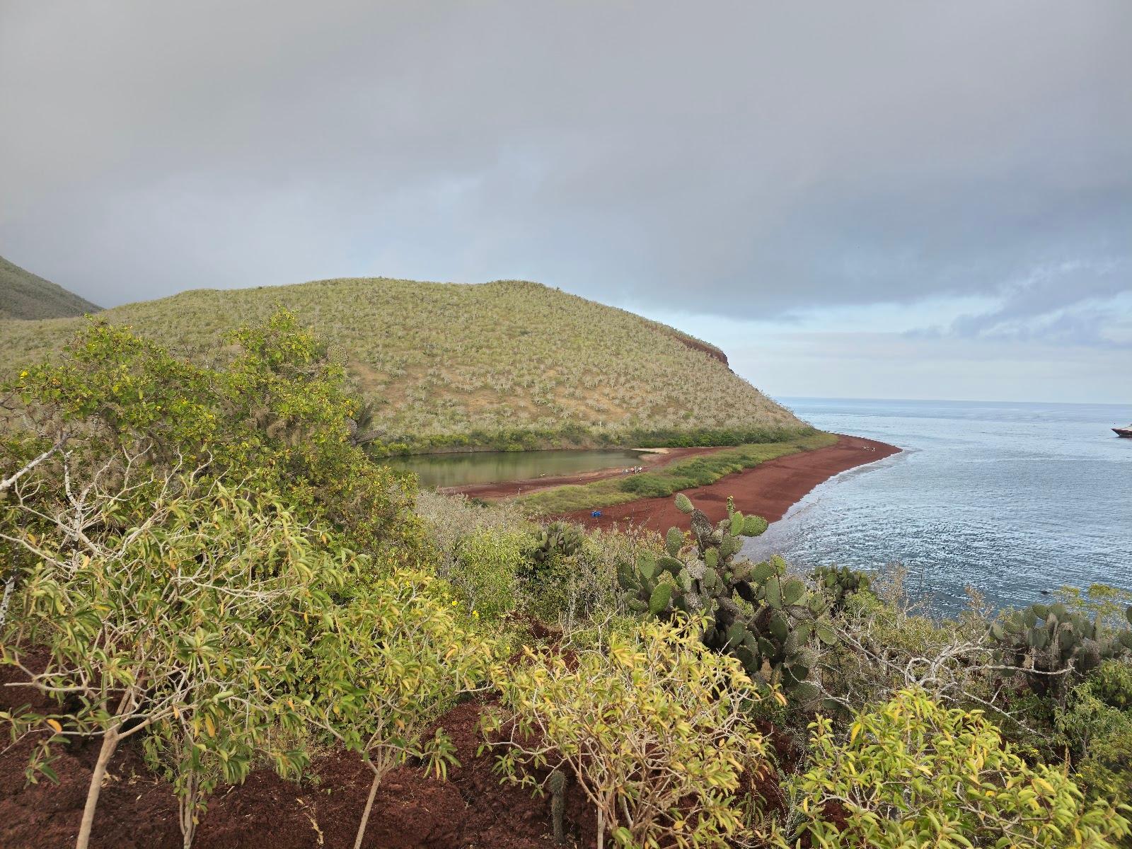 Sandee Rabida Island Beach