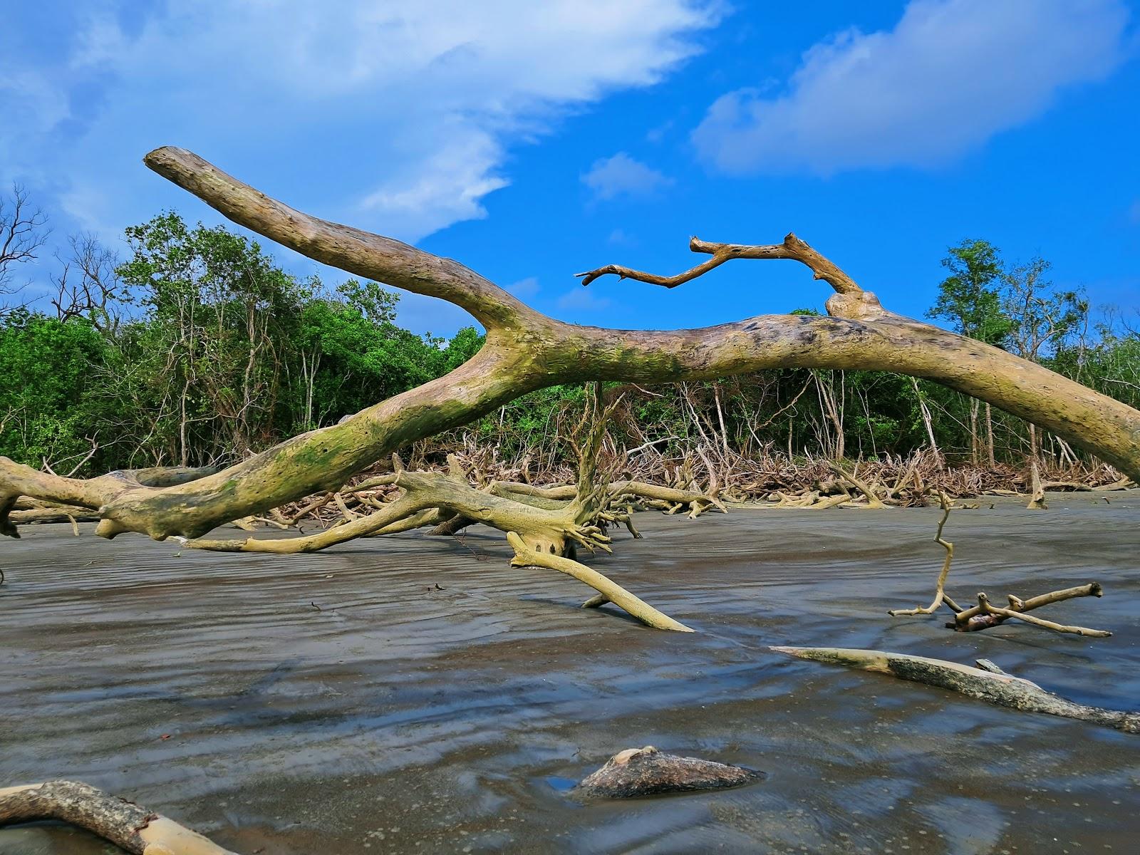 Sandee - Tengragiri Eco Park Beach