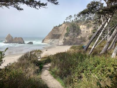 Sandee - Arcadia State Park Beach