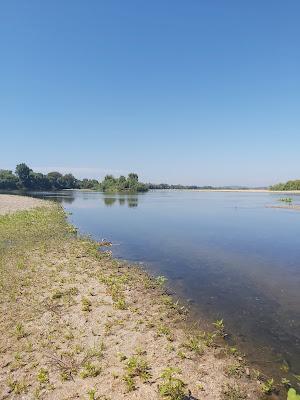 Sandee - Patacao Beach