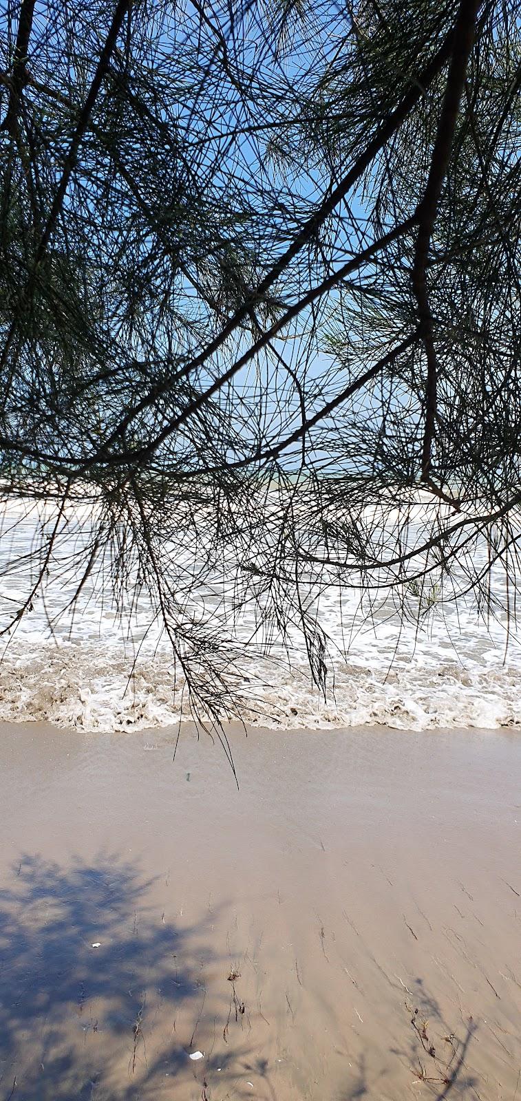 Sandee Pantai Panggautan