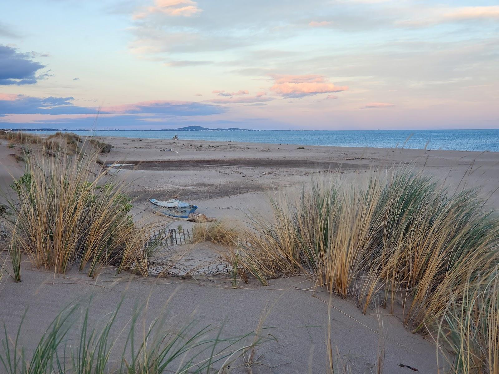 Sandee - Plage Des Orpelliere