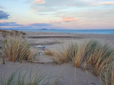 Sandee - Plage Des Orpelliere