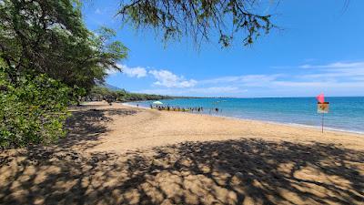 Sandee - Hanakaoo Beach