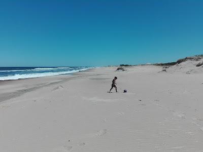 Sandee - Oceania Del Polonio Beach