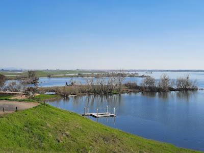 Sandee - Turlock Lake State Recreation Area