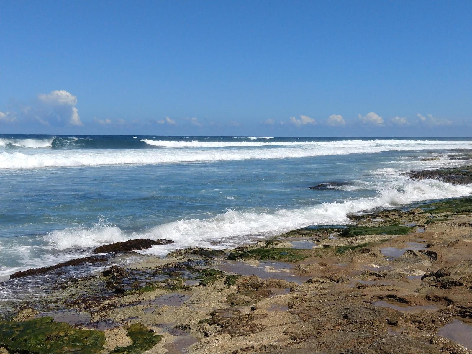 Sandee Los Almedros Beach