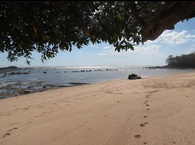 Sandee - Playa El Flor