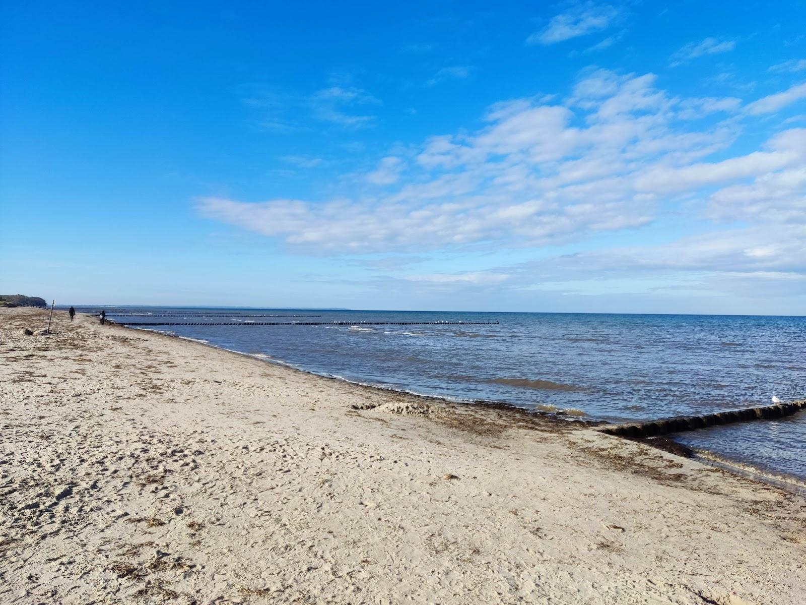 Sandee Fkk Strand Schwarzen Busch