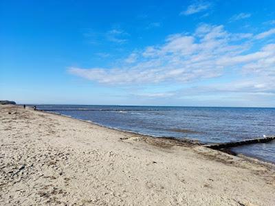 Sandee - Fkk Strand Schwarzen Busch