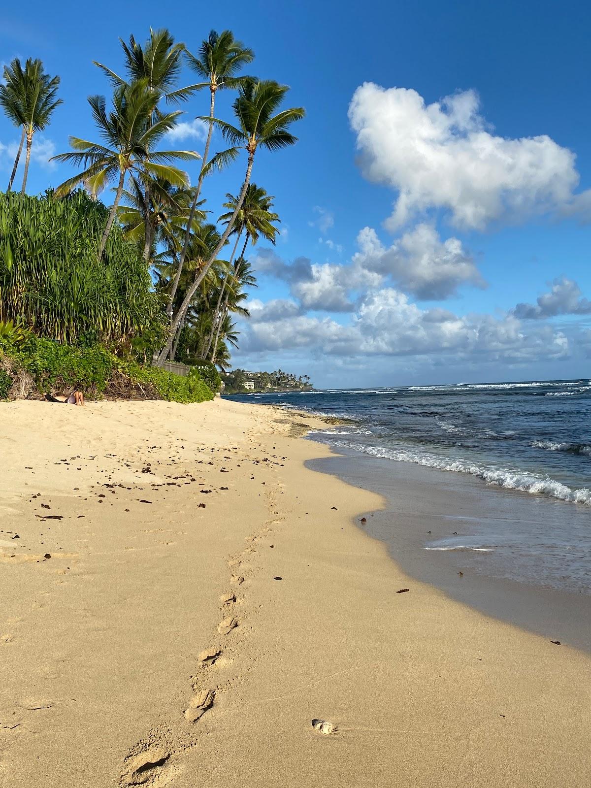 Sandee - Kuilei Cliffs Beach Park