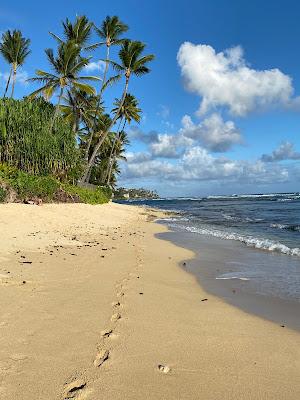 Sandee - Kuilei Cliffs Beach Park