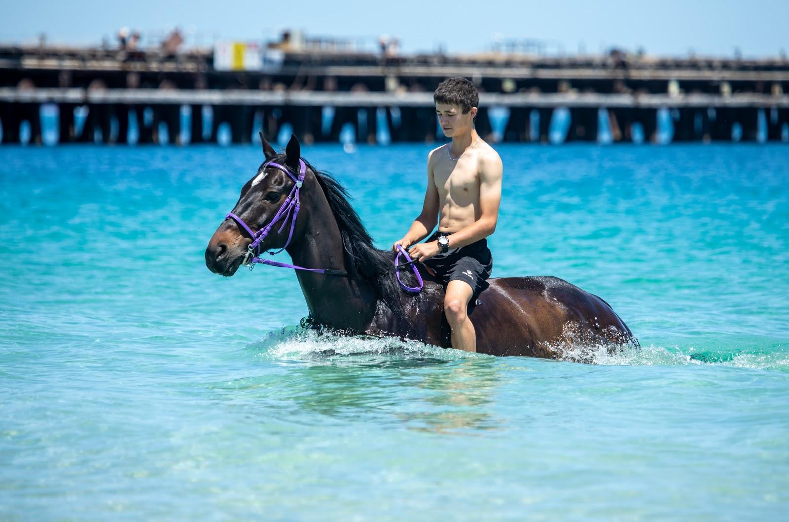 Sandee Naval Base Horse Beach Photo