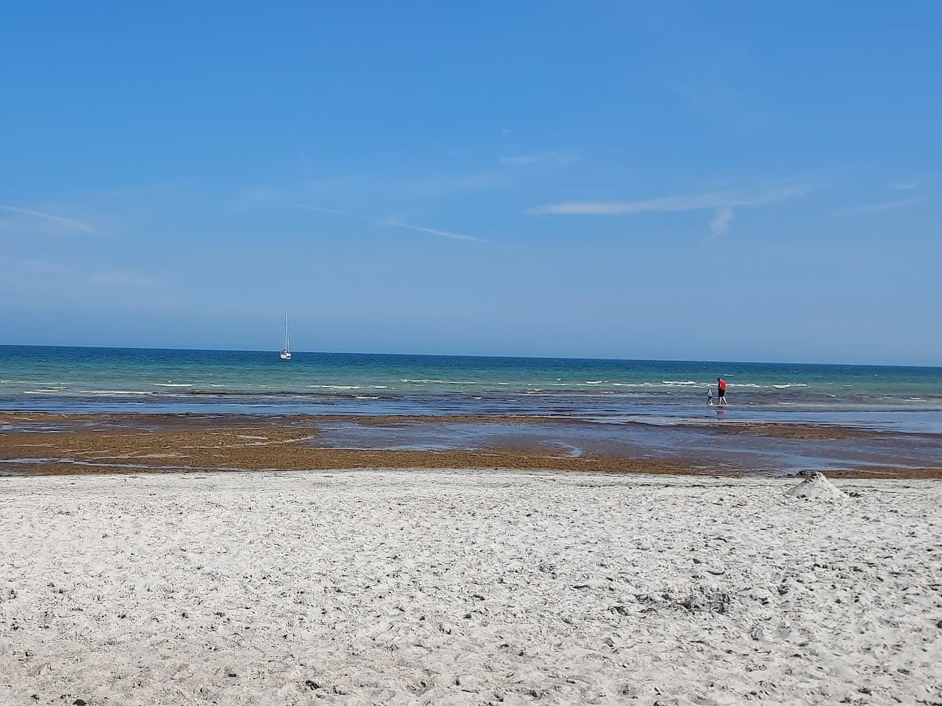 Sandee - Hundestrand Boltenhagen Tarnewitz