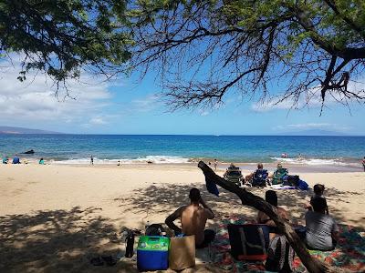 Sandee - Palauea Beach