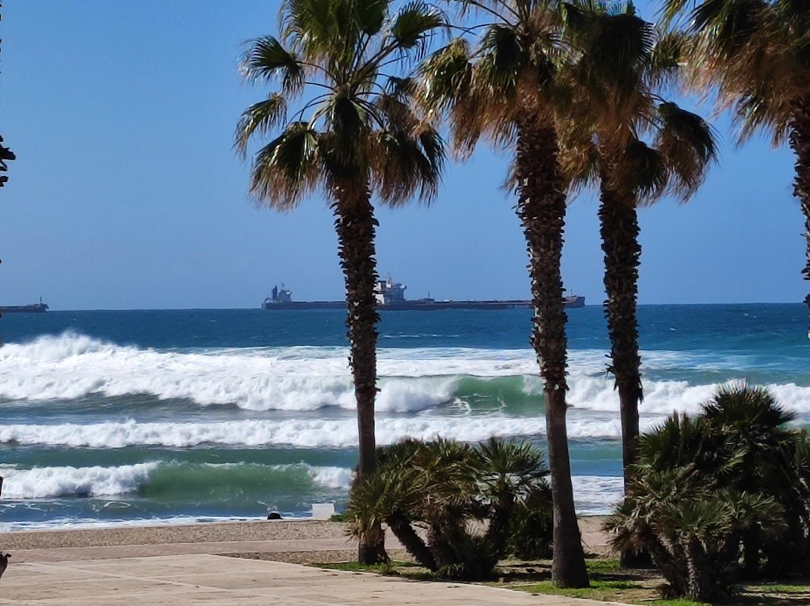 Sandee Spiaggia La Marina