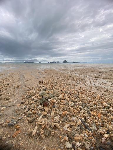 Sandee Tubkaak Beach Photo