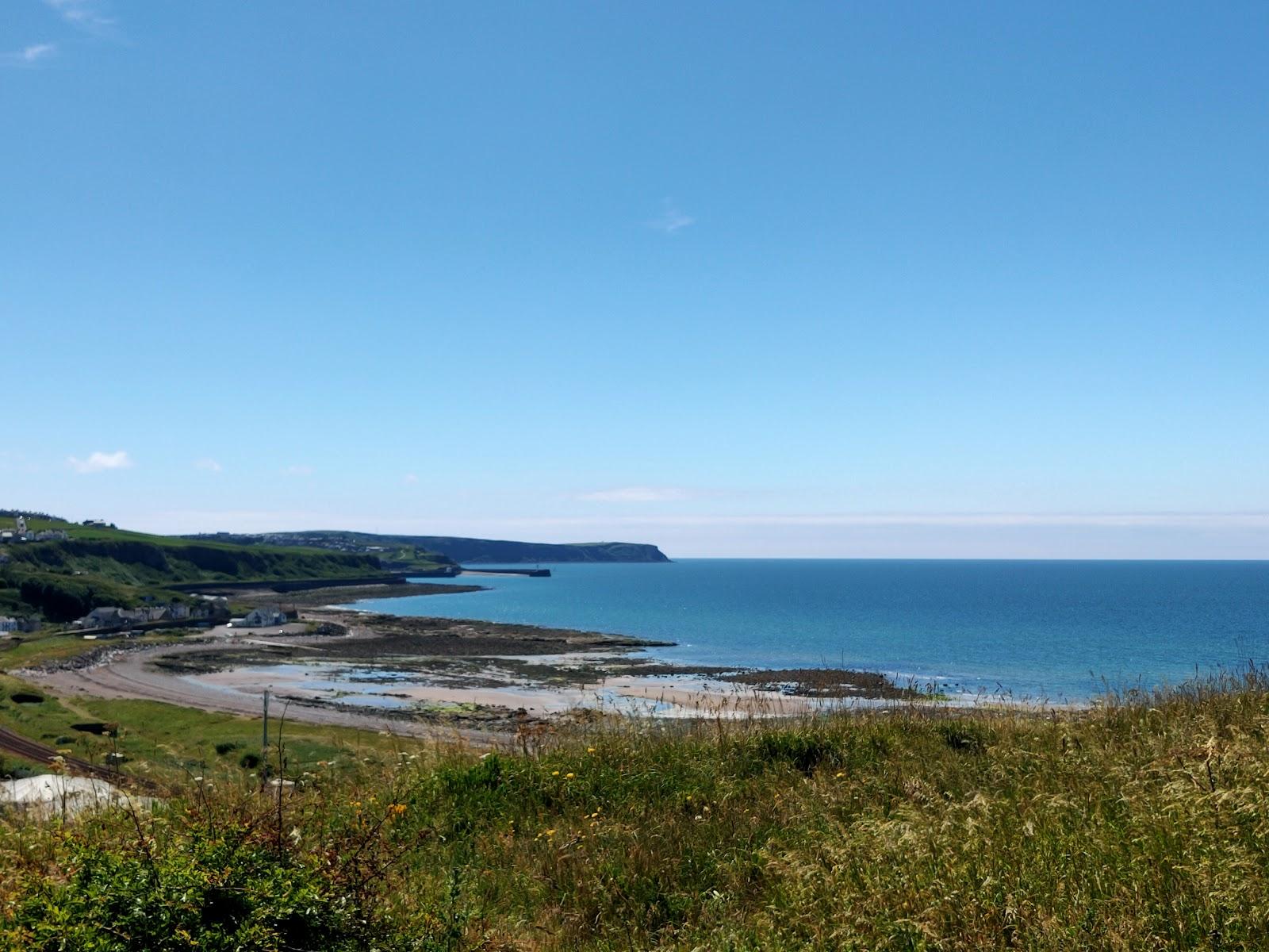 Sandee Tanyard Bay Beach Photo