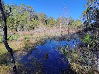 Sandee - Rocky Bayou