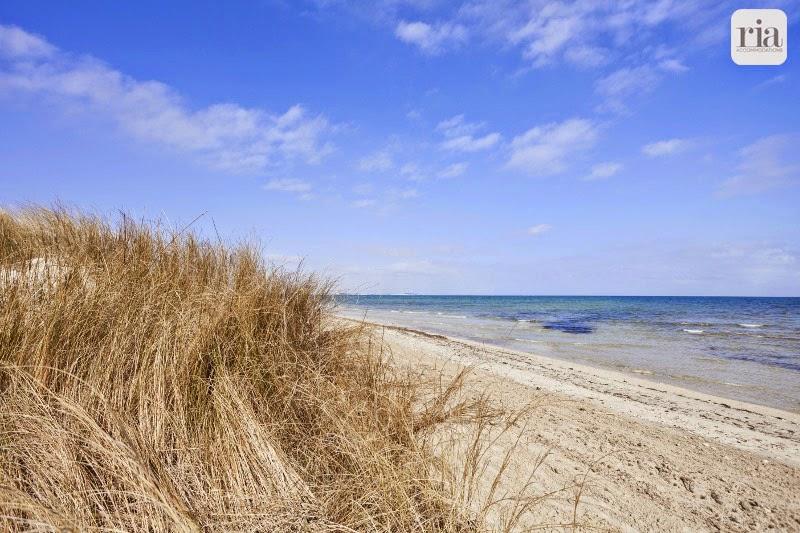 Sandee Spiaggiabella Beach