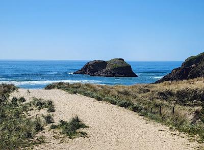 Sandee - Chapman Beach