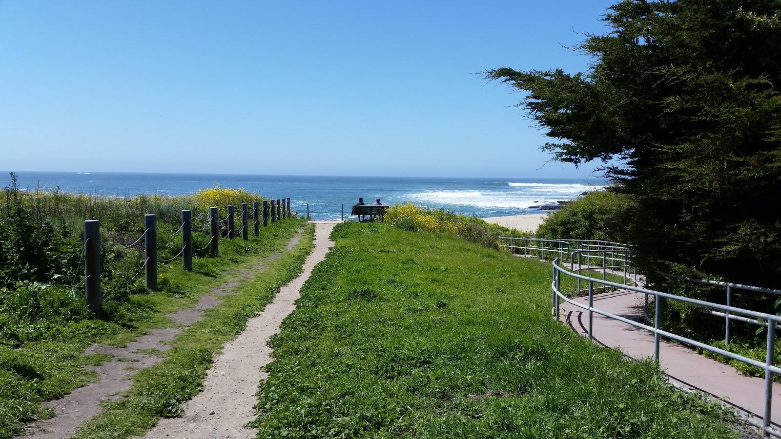 Sandee - Davenport Landing Beach