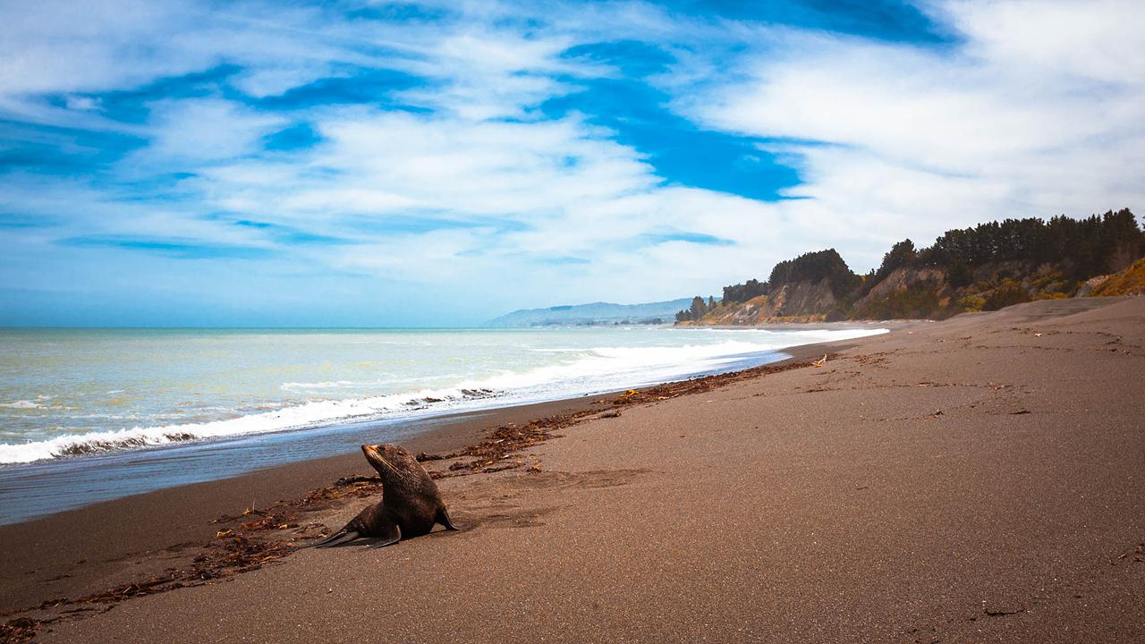 Sandee Claverley Beach Photo