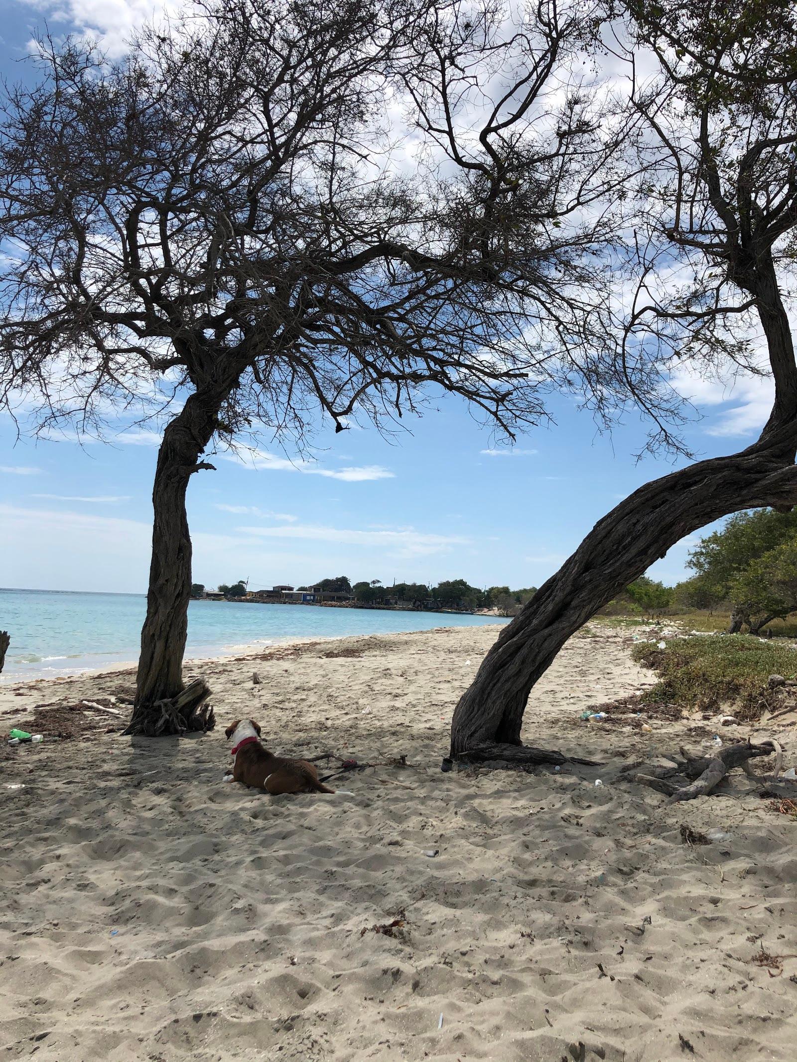 Sandee - Two Tree Beach