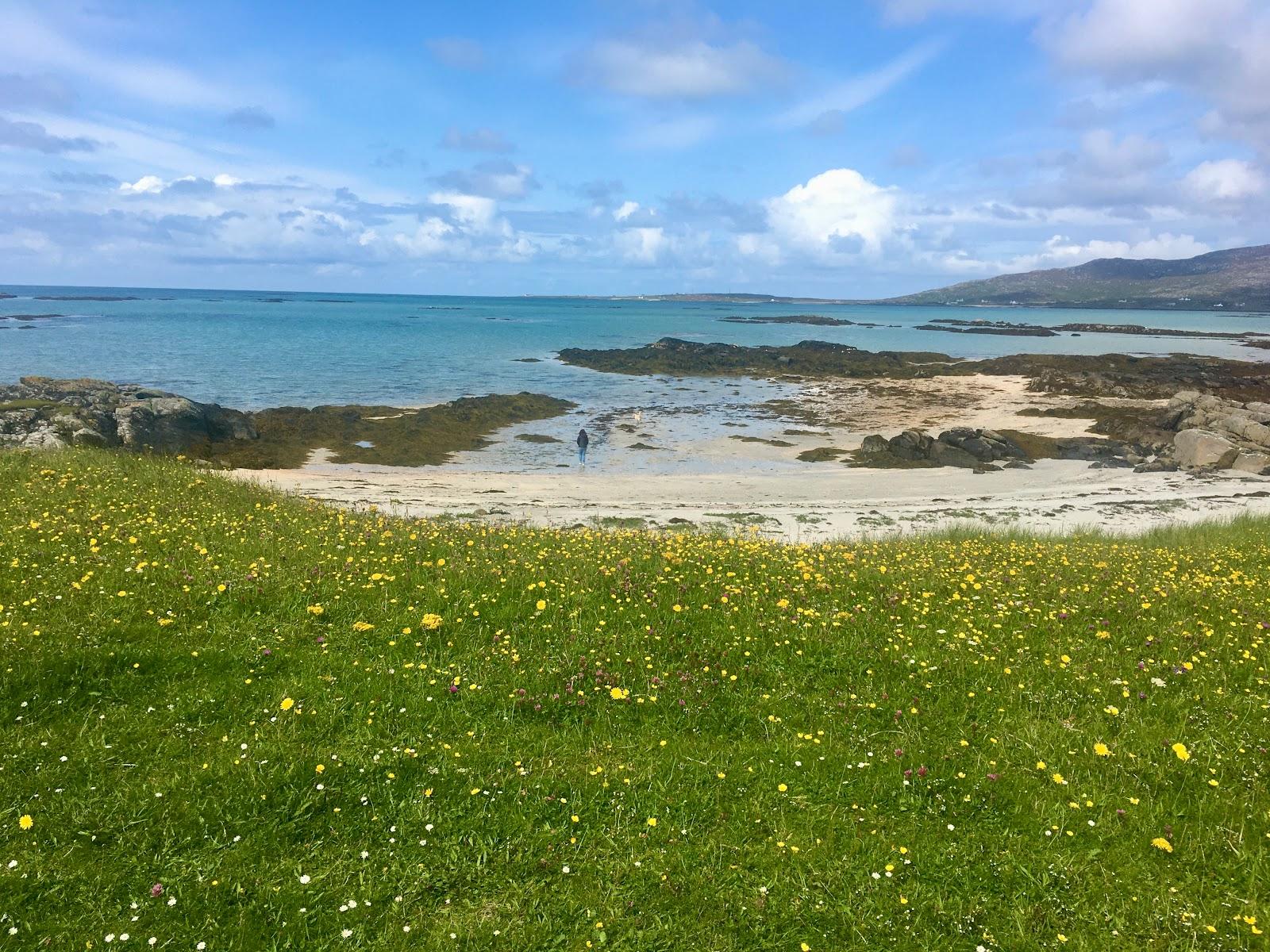 Sandee Eriskay Beach