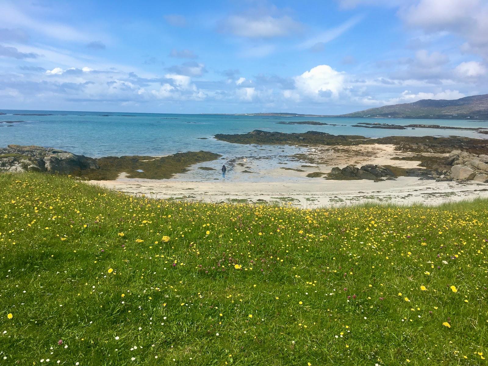 Sandee Eriskay Beach Photo