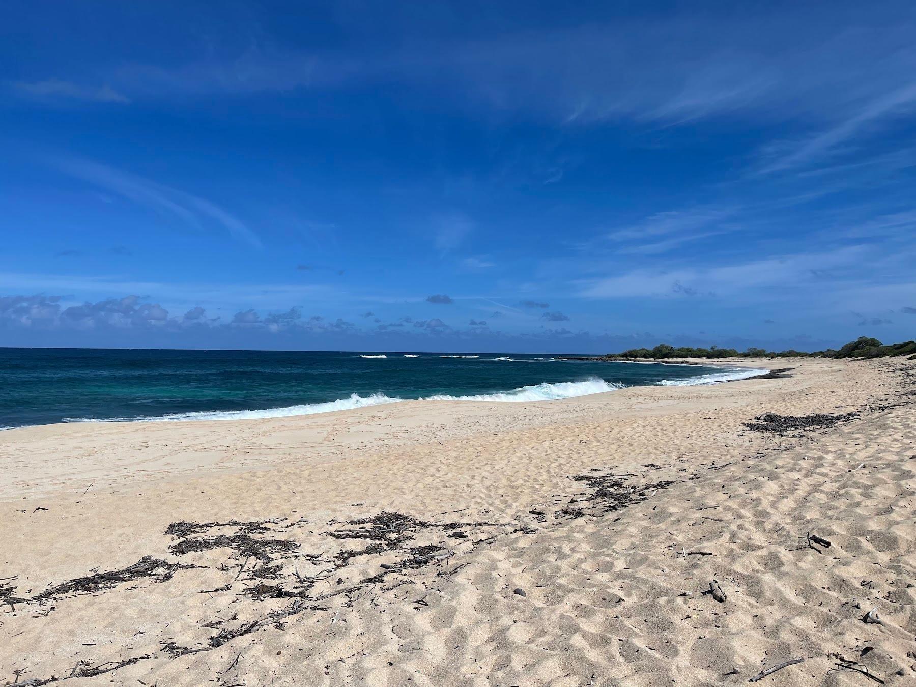 Sandee Hanakailio Beach