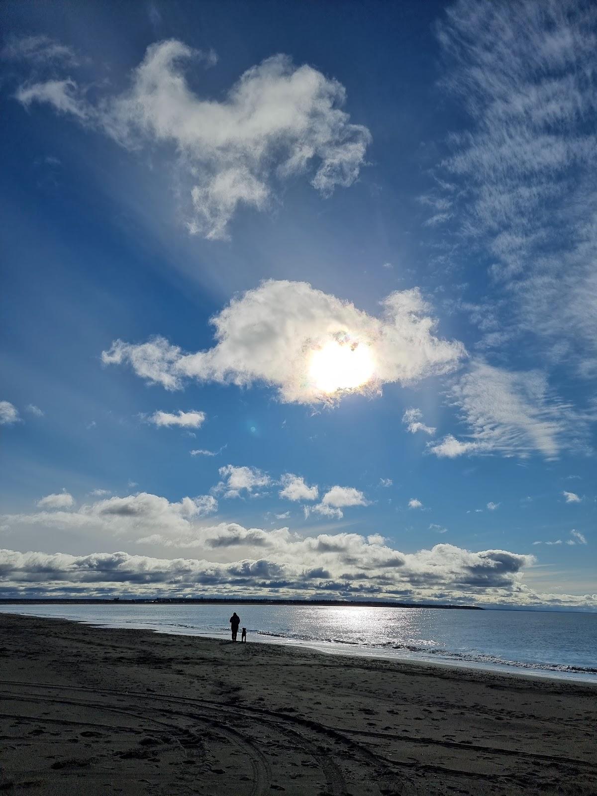 Sandee Kenai Beach Dunes Photo