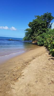 Sandee - Sea Glass Beach