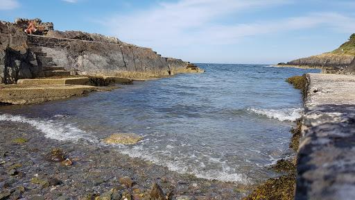 Sandee Smelt Mill Bay Photo