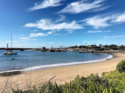 Sandee - Cove Beach